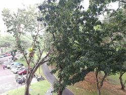 Blk 459 Ang Mo Kio Avenue 10 (Ang Mo Kio), HDB 5 Rooms #138994802